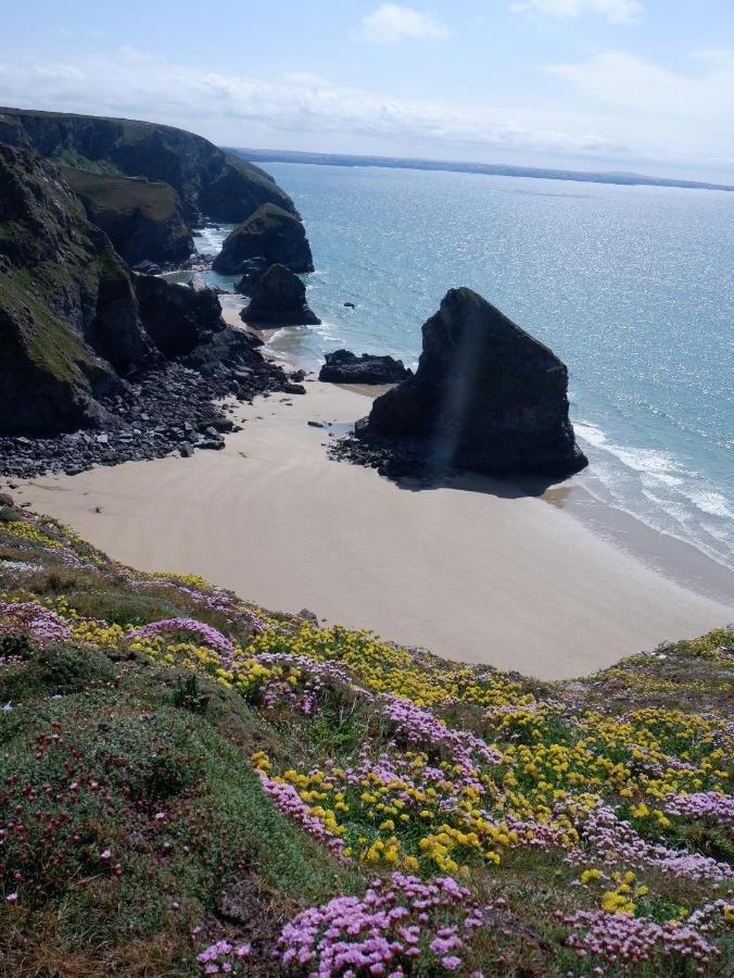Polrunny Farm Blackberry Cottage - Cornwall Bliss In Sight Of The Sea Боскасл Экстерьер фото