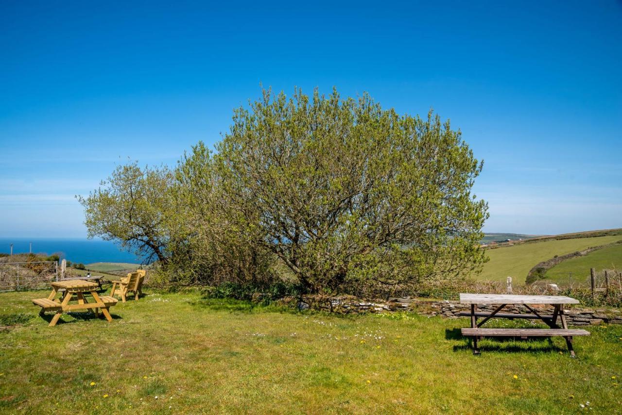Polrunny Farm Blackberry Cottage - Cornwall Bliss In Sight Of The Sea Боскасл Экстерьер фото