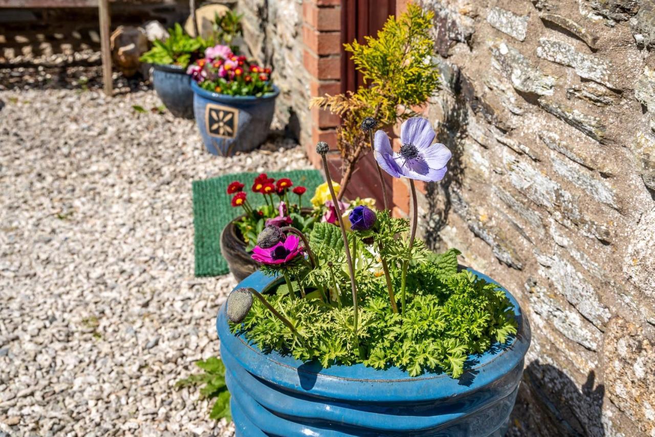 Polrunny Farm Blackberry Cottage - Cornwall Bliss In Sight Of The Sea Боскасл Экстерьер фото