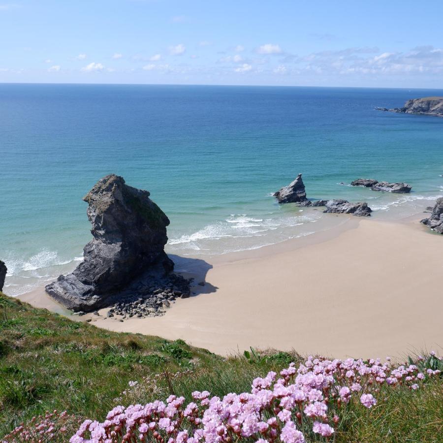 Polrunny Farm Blackberry Cottage - Cornwall Bliss In Sight Of The Sea Боскасл Экстерьер фото