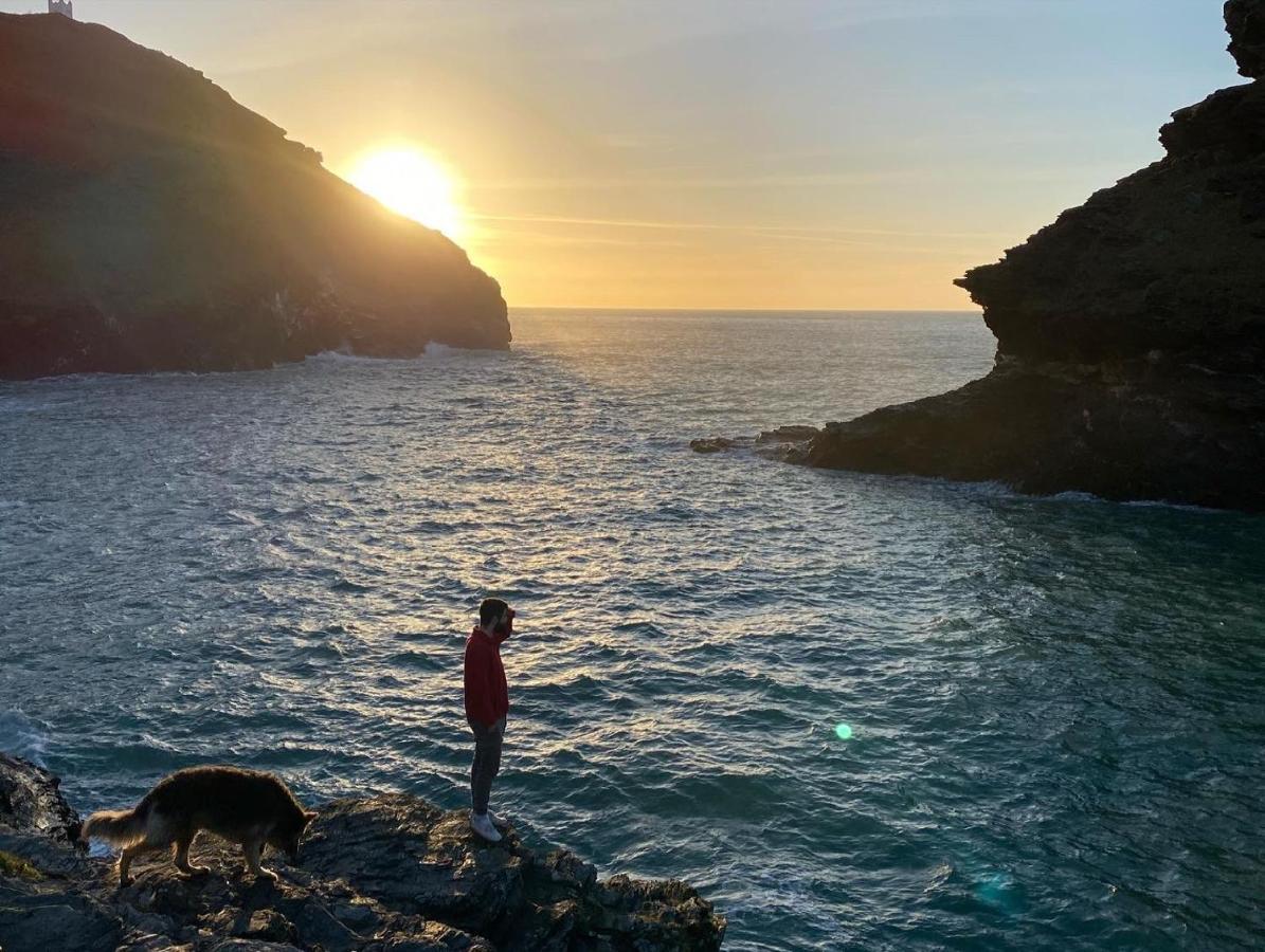 Polrunny Farm Blackberry Cottage - Cornwall Bliss In Sight Of The Sea Боскасл Экстерьер фото