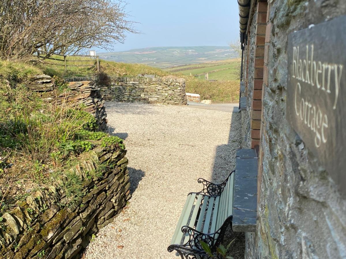 Polrunny Farm Blackberry Cottage - Cornwall Bliss In Sight Of The Sea Боскасл Экстерьер фото