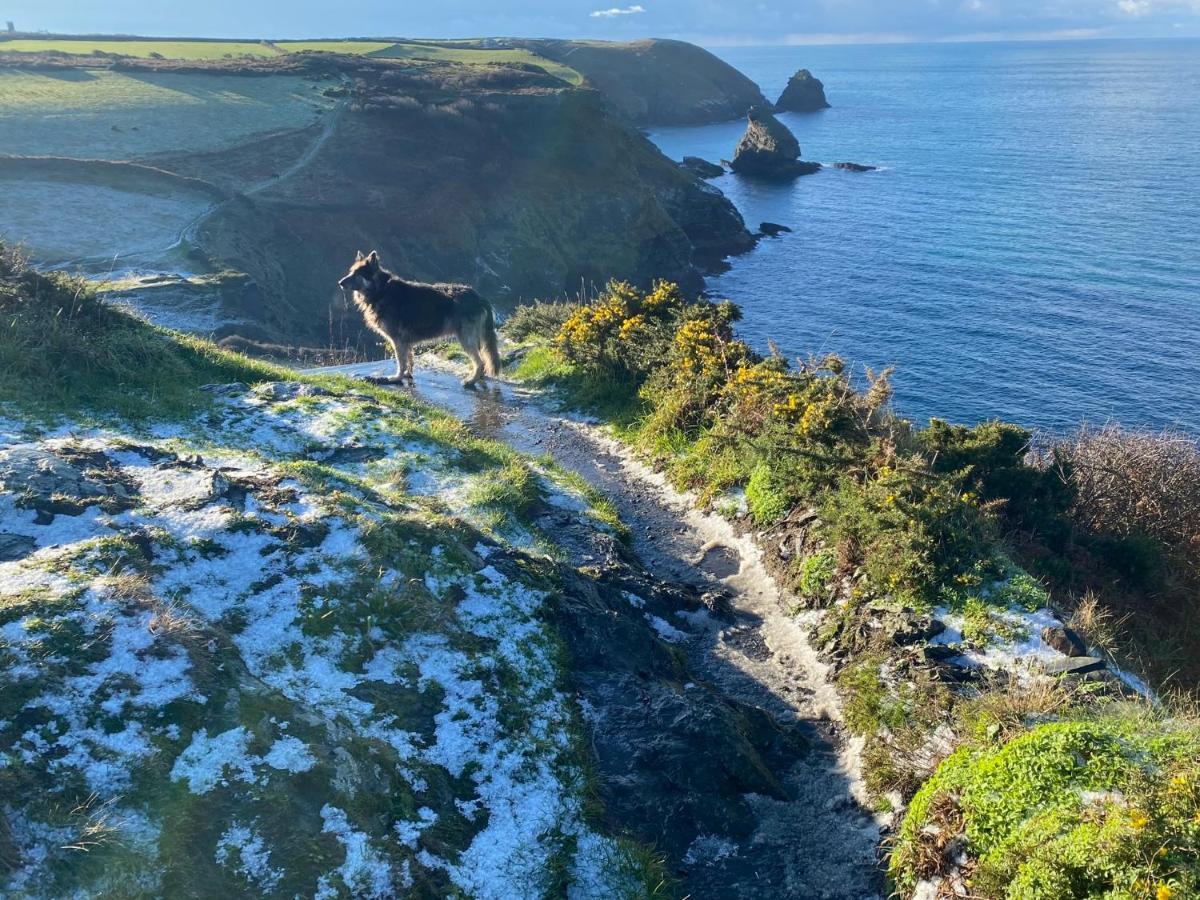 Polrunny Farm Blackberry Cottage - Cornwall Bliss In Sight Of The Sea Боскасл Экстерьер фото