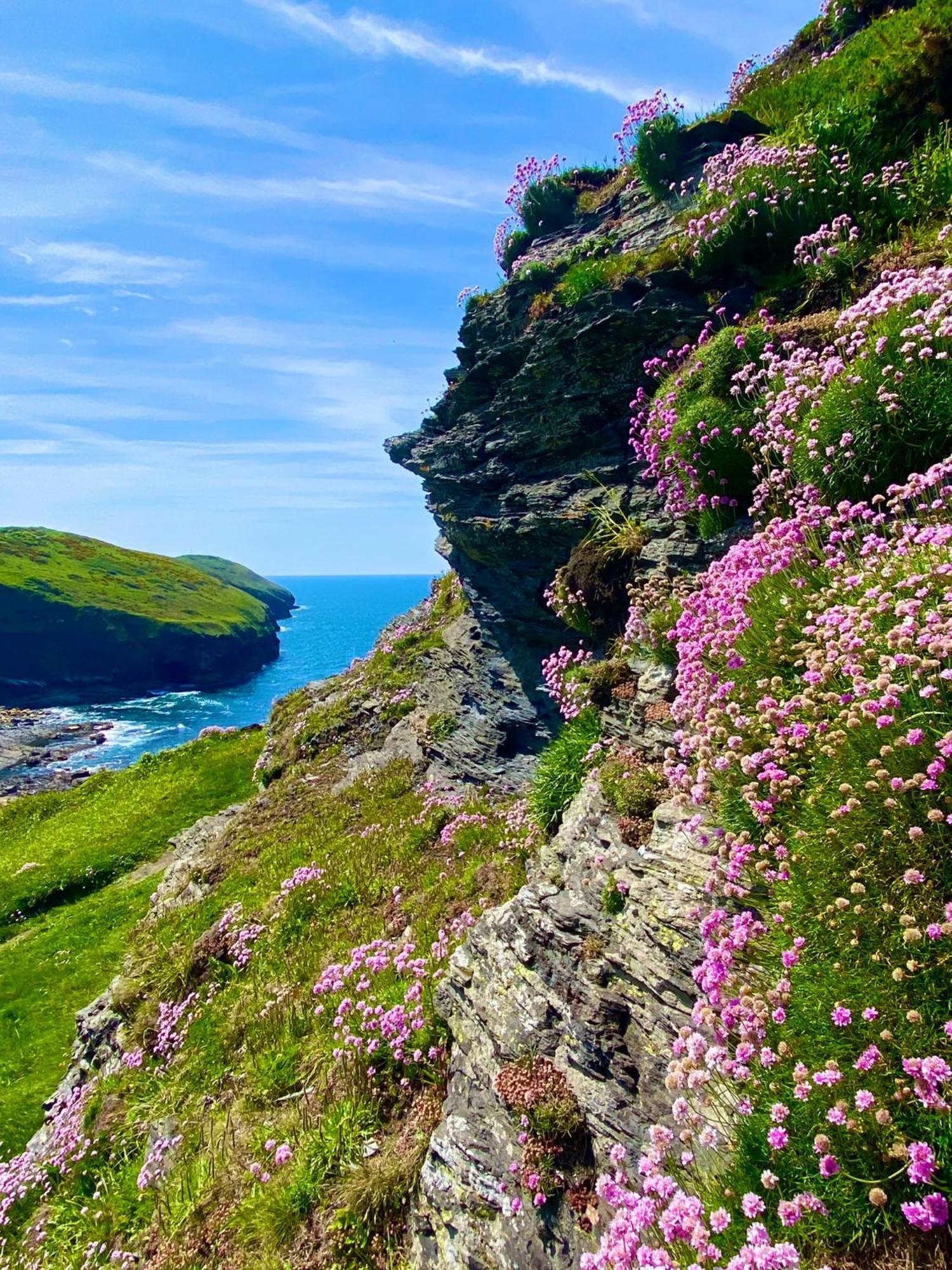 Polrunny Farm Blackberry Cottage - Cornwall Bliss In Sight Of The Sea Боскасл Экстерьер фото